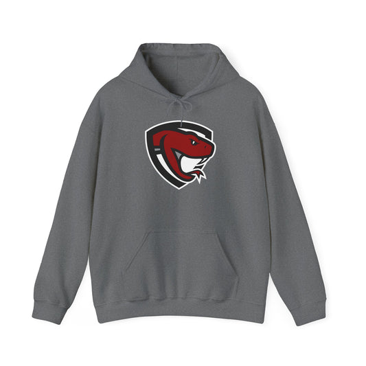 Desert Oasis High School, Strike, Gildan Unisex Blend™ Hooded Sweatshirt